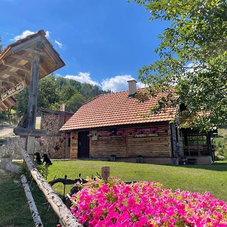 Konak Mandica Avlija Zaovine Exterior foto