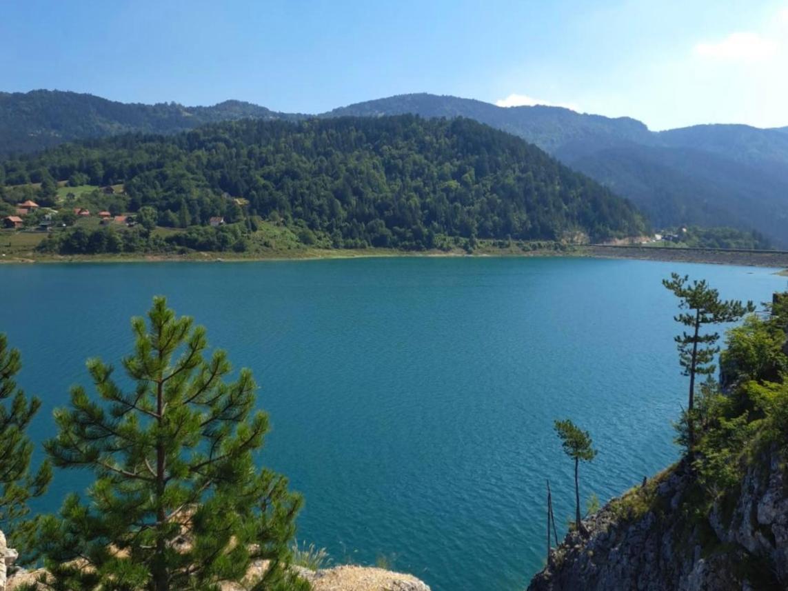 Konak Mandica Avlija Zaovine Exterior foto